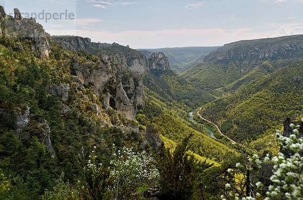 LozËre  Schlucht Gorges du Tarn  die Causses und die Cevennen  mediterrane Acker- und Weide-Kulturlandschaft  UNESCO Weltkulturerbe  LozËre  Frankreich  Europa