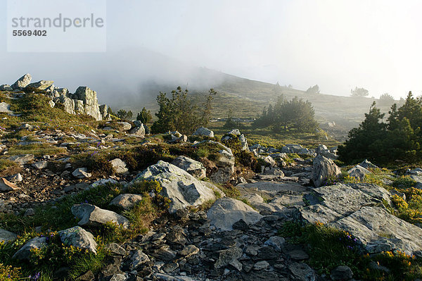 Gipfel des Mont Mezenc  Auvergne  Frankreich  Europa