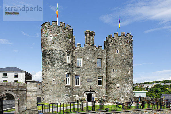 Burg  Enniscorthy  County Wexford  Irland  Europa