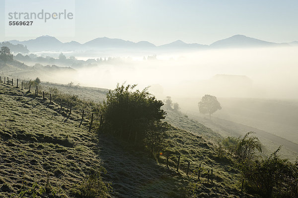 Herbstlicher Morgennebel bei Aidling  Blaues Land  Pfaffenwinkel  Oberbayern  Bayern  Deutschland  Europa