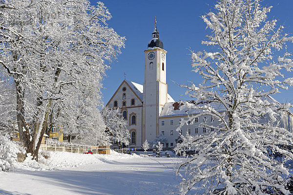Pfarrkirche Mariä Himmelfahrt im Winter  Dietramszell  Oberbayern  Bayern  Deutschland  Europa