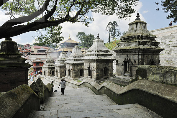 Pandra Shivalaya Komplex  Tempelanlage von Pashupatinath am heiligen Bagmati Fluss  Kathmandu  Nepal  Asien