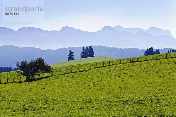 Landschaft im Ostallgäu  Allgäu  Bayern  Deutschland  Europa  ÖffentlicherGrund