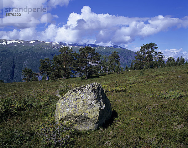 Großer Felsblock in Landschaft oberhalb des Aurlandsfjords  Aurland  Sogn og Fjordane  Norwegen  Skandinavien  Europa