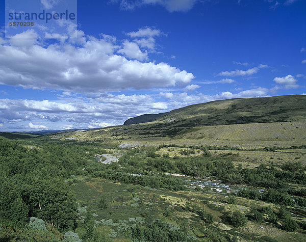 Tal D¯rÂlen  Doralen  mit Fluss Atna  Rondane Nationalpark  Norwegen  Skandinavien  Europa