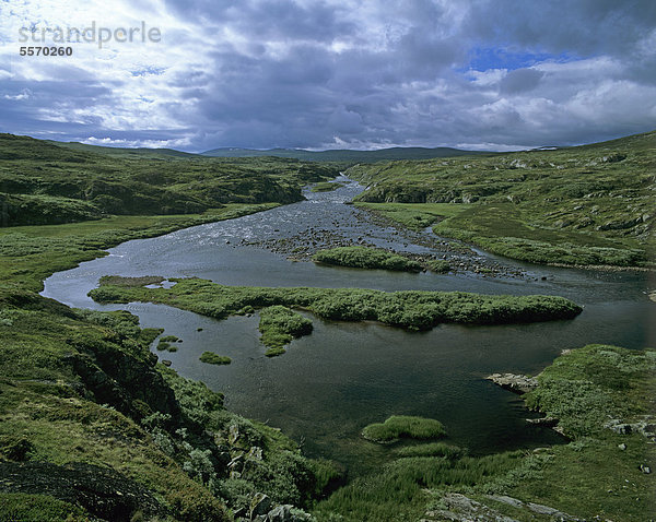 Gebirgsfluss auf der Hochebene Hardangervidda  Hordaland  Norwegen  Skandinavien  Europa