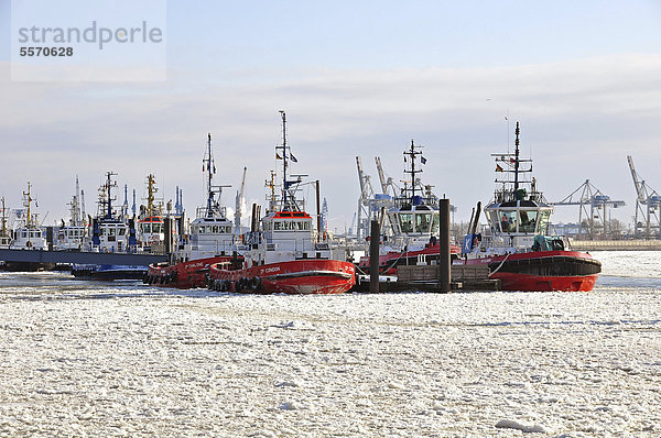 Schiffe im Hamburger Hafen im Winter  Hamburg  Deutschland  Europa