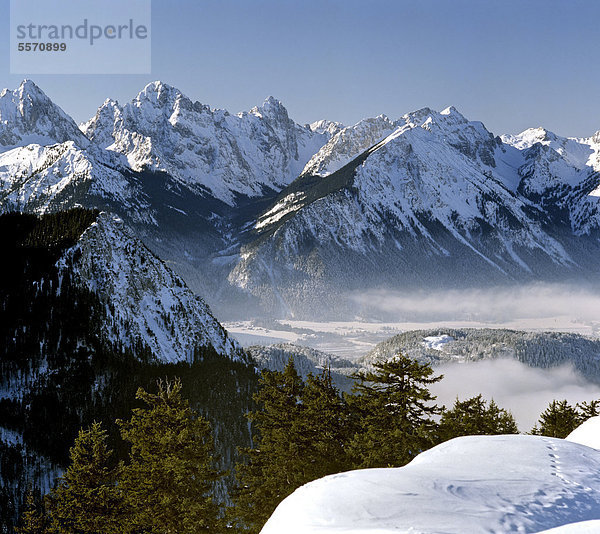 Blick vom Brander Schroffen  Thannheimer Berge  Allgäu  Schwaben  Bayern  Deutschland  Europa