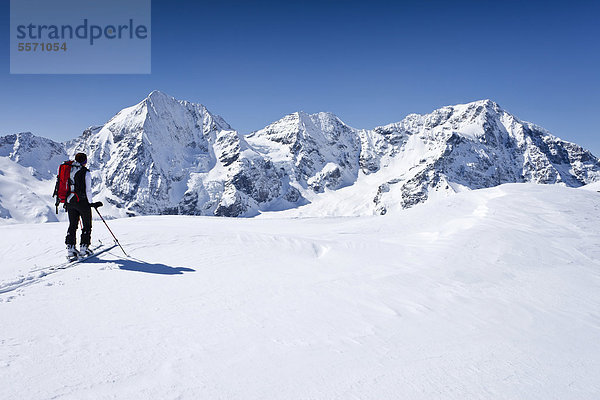 Skitourengeher beim Aufstieg zur hinteren Schöntaufspitze  Sulden  hinten die Königsspitze  der Ortler und der Zebru  Südtirol  Italien  Europa