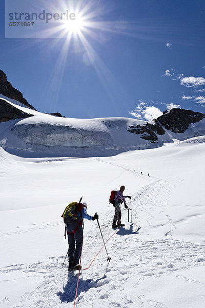 Bergsteiger beim Aufstieg zum Piz Palü durch die Gletscherlandschaft  Graubünden  Schweiz  Europa