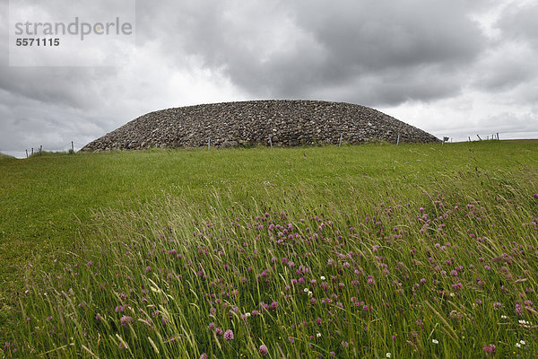 Megalithanlage Carrowmore Megalithic Cemetery  County Sligo  Connacht  Irland  Europa
