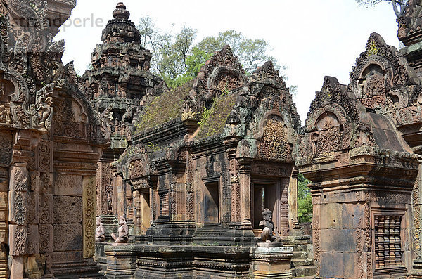 Tempel  Banteay Srei  Angkor  Siem Reap  Kambodscha  Südostasien