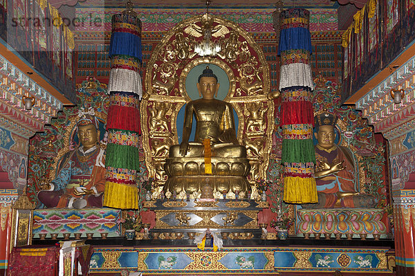 Tibetischer Buddhismus  Karma-Kagyü-Linie  Altar mit Buddhafigur  Kloster Lingdum Gompa  bei Gangtok  Sikkim  Himalaja  Indien  Südasien  Asien