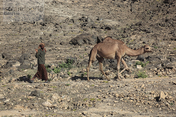 Kamelhirte im Dhofargebiet  Jabal al Qamar  Südlicher Oman  Arabische Halbinsel  Naher Osten