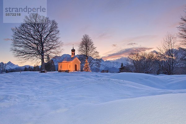 Weihnachtsbaum an einer Kapelle in Krün  Bayern  Deutschland