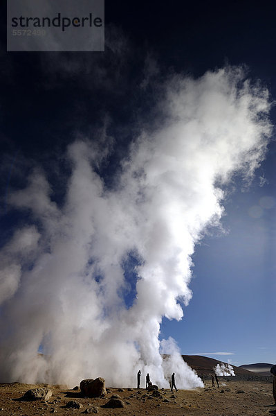 Geysire mit Wasserdampf vor tiefblauem Himmel  Uyuni  Bolivien  Südamerika