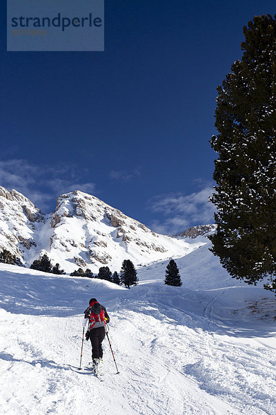 Skitourengeher bei der Wörndle-Loch-Alm  beim Aufstieg zum Zendleser Kofel im Villnösstal oberhalb der Zanser Alm  Südtirol  Italien  Europa