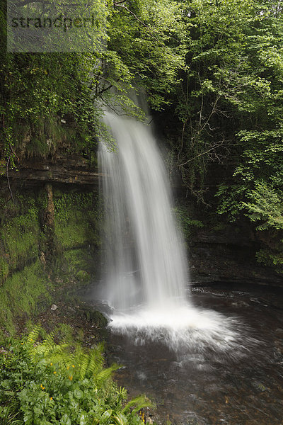 Glencar Wasserfall am Glencar Lough  County Leitrim  Connacht  Irland  Europa