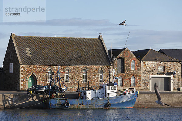 Fischerhafen  Howth bei Dublin  County Fingal  Leinster  Irland  Europa  ÖffentlicherGrund