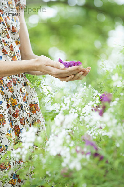 Frau hält lila Blüten in schalenförmigen Händen  Mittelteil