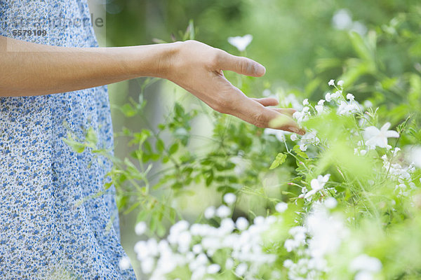 Frauenhand berührt Wildblumen  Mittelteil