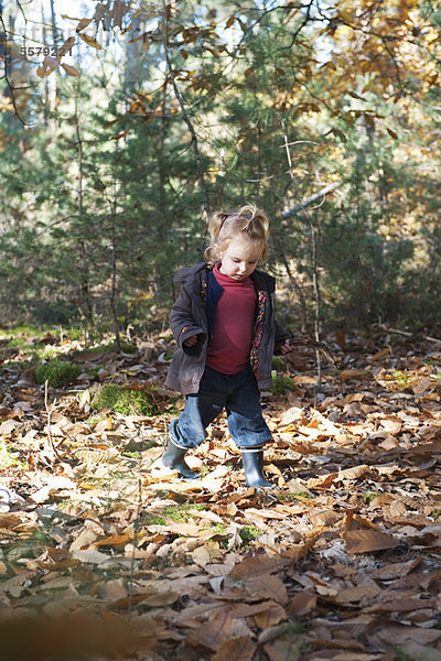 Kleinkind Mädchen beim Spaziergang im Herbstlaub