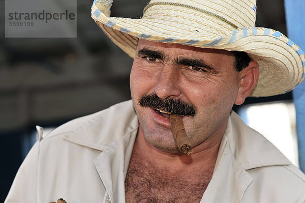 Tabakbauer raucht Zigarre  Tabak (Nicotiana)  Tabakanbau im Nationalpark Valle de Vinales  Vinales  Provinz Pinar del Rio  Kuba  Große Antillen  Karibik  Mittelamerika  Amerika