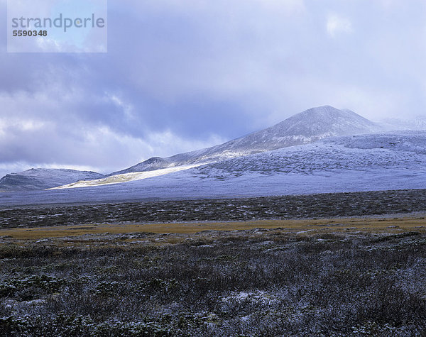 Fjelllandschaft mit erstem Schnee  bei MysusÊter  Mysuseter  Rondane Nationalpark  Norwegen  Skandinavien  Europa