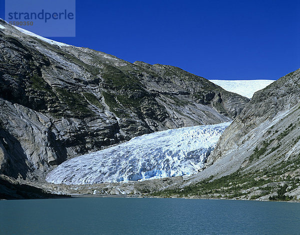 Nigardsbreen  eine Gletscherzunge des Jostedalsbreen  Sogn og Fjordane  Norwegen  Skandinavien  Europa