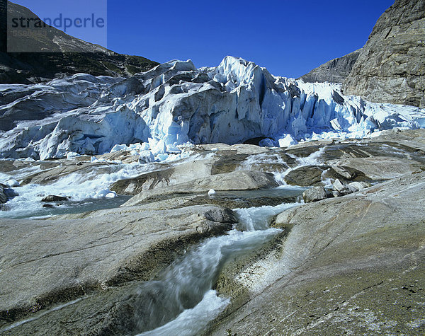 Nigardsbreen  eine Gletscherzunge des Jostedalsbreen  Sogn og Fjordane  Norwegen  Skandinavien  Europa