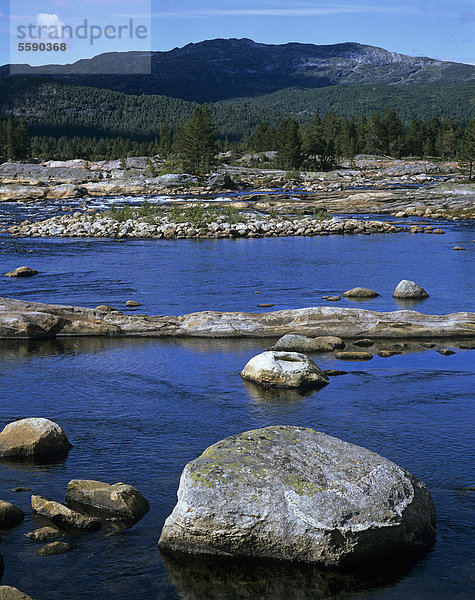 Der breite Fluss Otra im Setesdal südlich von Hovden bei Berdalen  Aust-Agder  Norwegen  Skandinavien  Europa