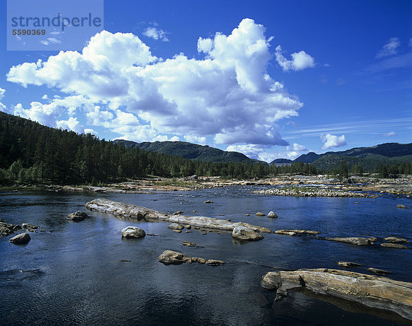 Der breite Fluss Otra im Setesdal südlich von Hovden bei Berdalen  Aust-Agder  Norwegen  Skandinavien  Europa