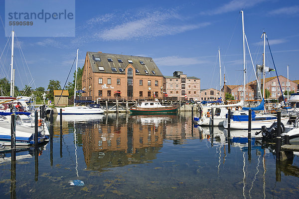 Hafen  Orth  Insel Fehmarn  Ostsee  Schleswig-Holstein  Deutschland  Europa