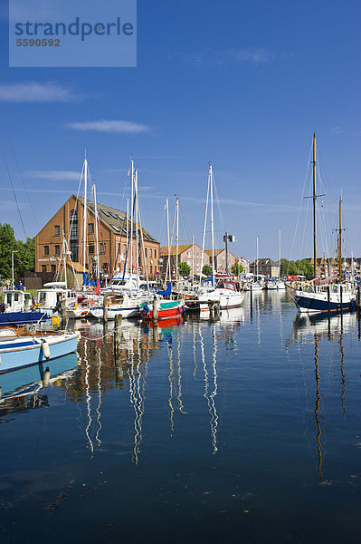 Hafen  Orth  Insel Fehmarn  Ostsee  Schleswig-Holstein  Deutschland  Europa