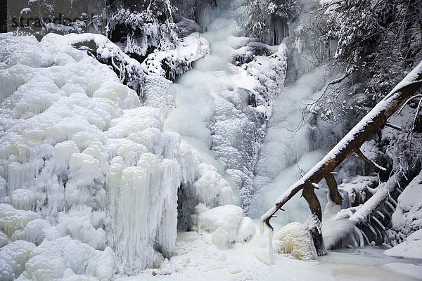 Der völlig eingefrorene Falkauer Wasserfall  Falkau  Feldberg  Schwarzwald  Baden-Württemberg  Deutschland  Europa