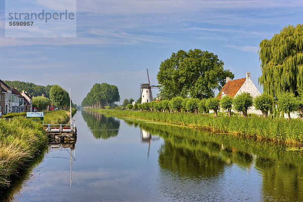 Kanal zwischen Brügge und Damme  Damse Vaart-Zuid  Damme  Brügge  Westflandern  Flämische Region  Belgien  Europa