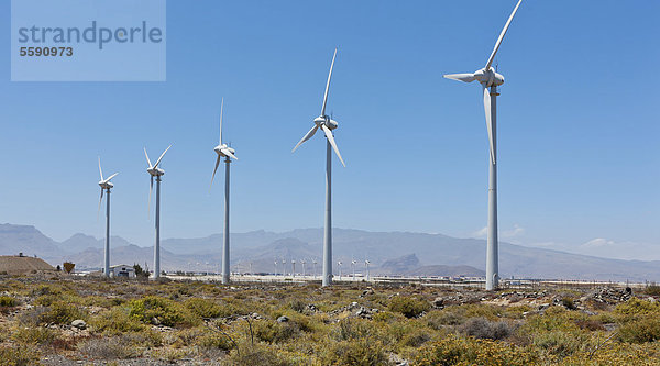 Windräder  Windkraftanlagen  Pozo  Santa LucÌa de Tirajana  Gran Canaria  Kanarische Inseln  Spanien  Europa