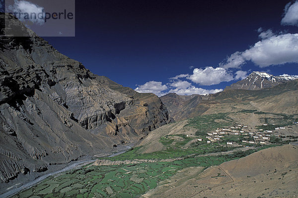 Lalung  Spiti-Tal  Himachal Pradesh  Nordindien  Indien  Asien