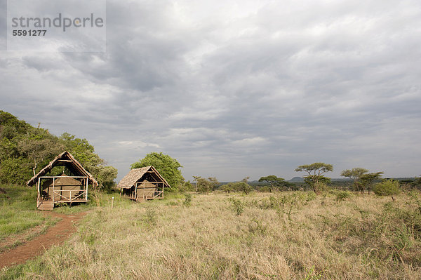 Ikoma Wild Camp  überdachte Zelte in der weiten Savanne  Serengeti Nationalpark  Tansania  Ostafrika  Afrika