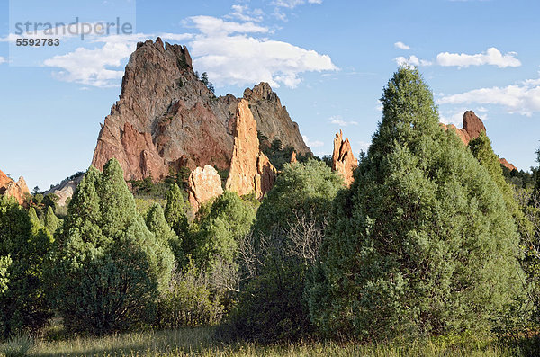 Cathedral Rock  auch Gray Rock  Garden of the Gods  roter Sandstein  Colorado Springs  Colorado  USA