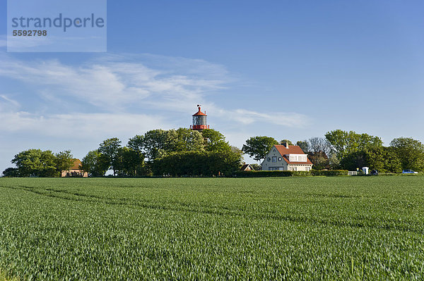 Leuchtturm an der Steilküste Staberhuk  Insel Fehmarn  Ostsee  Schleswig-Holstein  Deutschland  Europa