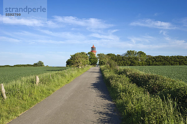 Leuchtturm an der Steilküste Staberhuk  Insel Fehmarn  Ostsee  Schleswig-Holstein  Deutschland  Europa
