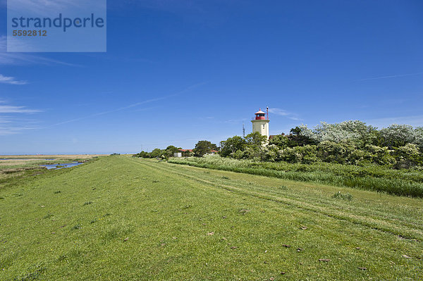 Leuchtturm am Deich  Westermarkelsdorf  Insel Fehmarn  Ostsee  Schleswig-Holstein  Deutschland  Europa