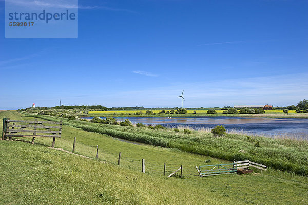 Hochwasserdeich mit Leuchtturm  Westermarkelsdorf  Insel Fehmarn  Ostsee  Schleswig-Holstein  Deutschland  Europa