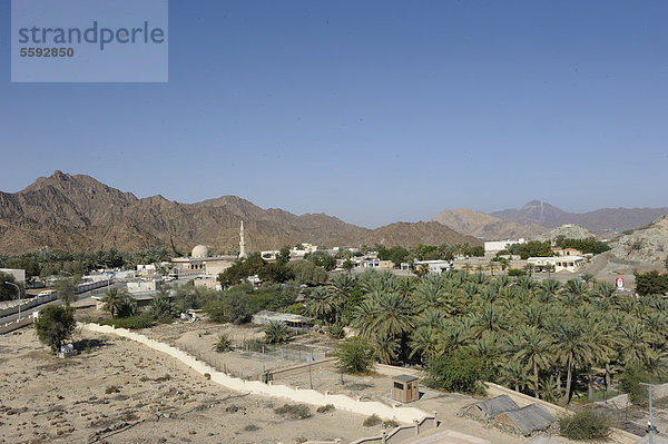 Gesamtansicht der Oase und Enklave Hatta mit Moschee und Dattelpalmen und am Horizont das Hadschar-Gebirge  Vereinigte Arabische Emirate  Arabische Halbinsel  Naher Osten