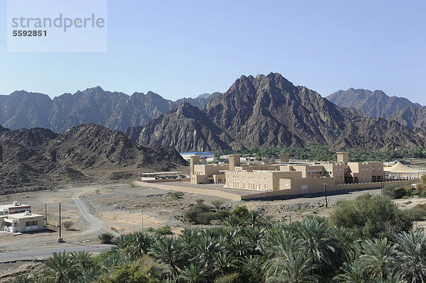 Oase und Enklave Hatta mit Dattelpalmen  hinten das Hadschar-Gebirge  Vereinigte Arabische Emirate  Arabische Halbinsel  Naher Osten