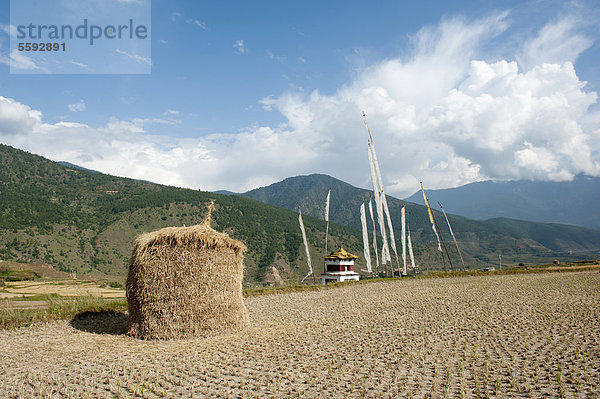 Pilgerort  Haufen Stroh  Feld beim Fruchtbarkeitstempel Chimi Lakhang  Chörten mit Fahnen  bei Punakha  Himalaja  Königreich Bhutan  Südasien  Asien