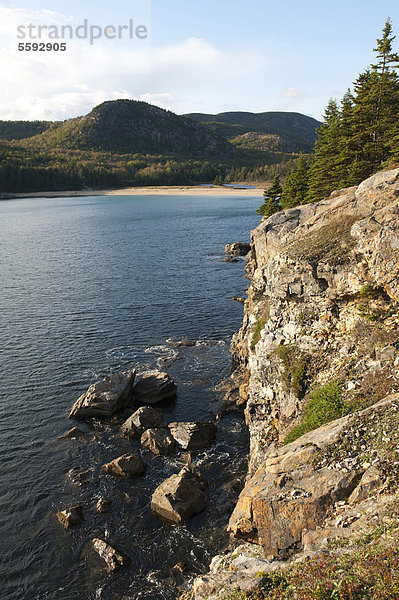Felsige Steilküste am Great Head  hinten Sand Beach  Acadia National Park  Maine  Neuengland  USA  Nordamerika  Amerika