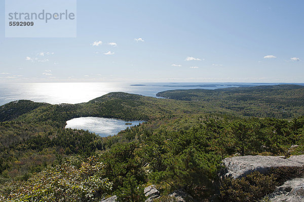 Wald und Meer  Blick vom Gipfel des Champlain Mountain  328 m  auf den See The Bowl  Wanderpfad Bear Brook Trail  Acadia National Park  Maine  Neuengland  USA  Nordamerika  Amerika