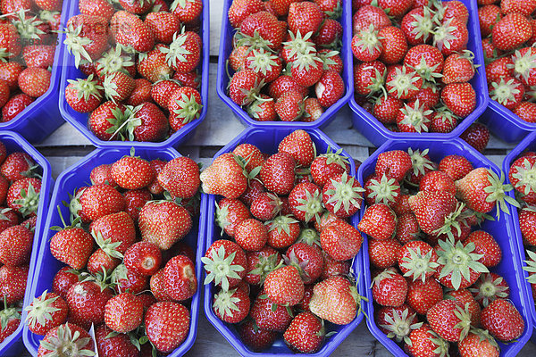 Deutschland  Bremen  Erdbeeren im Tray auf dem Markt